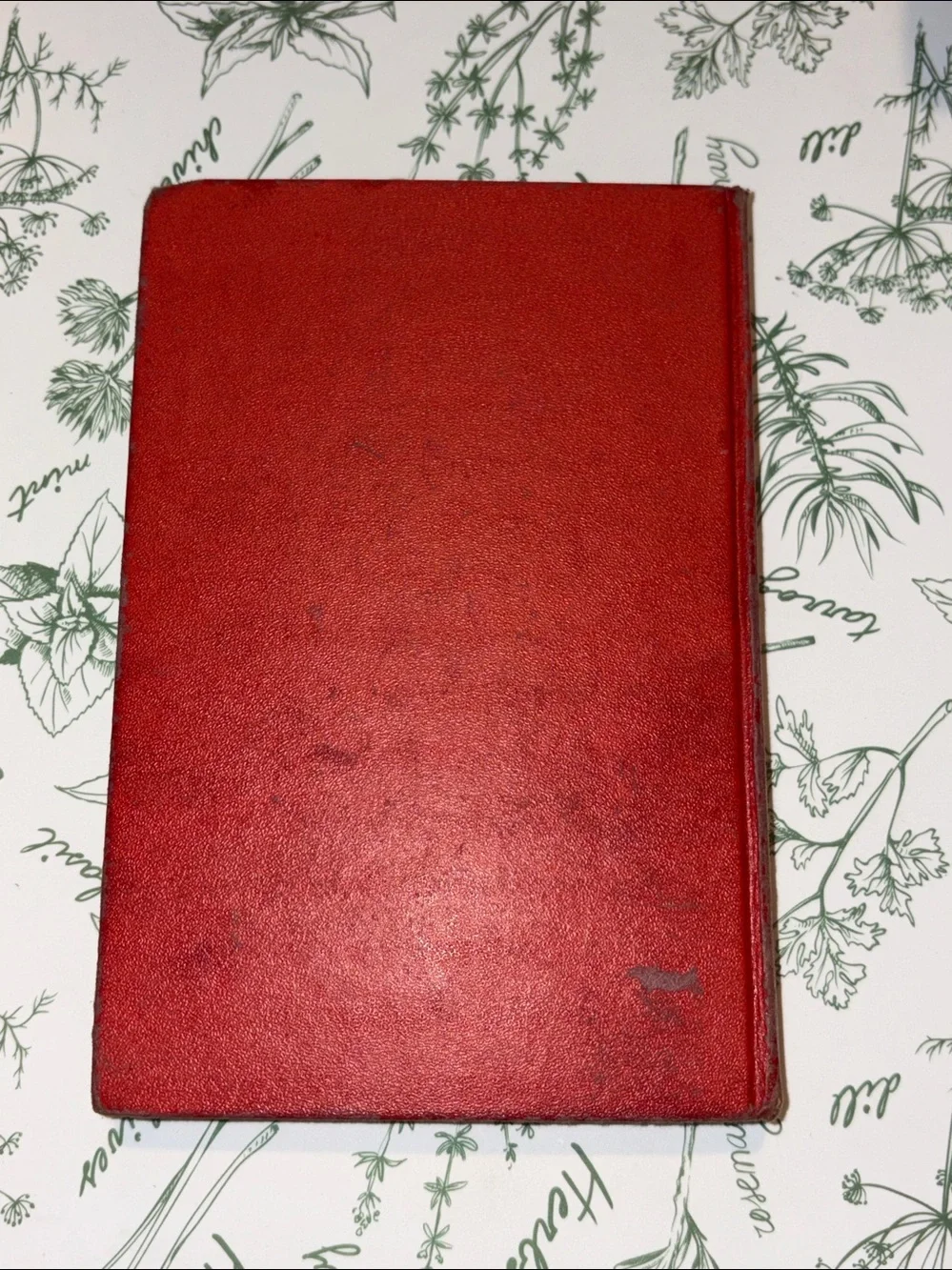 Vintage 1946 Blaze of Noon Hardcover Book by Ernest K. Gann -Red Cloth Bound